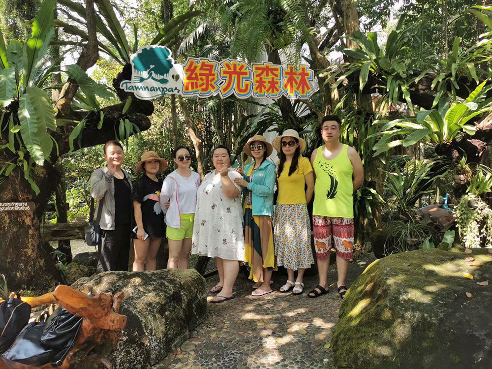 出發(fā)在鴻成，暢爽泰國(guó)游(圖2)