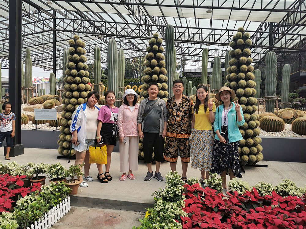 出發(fā)在鴻成，暢爽泰國(guó)游(圖3)